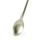 Stainless Steel Spoon